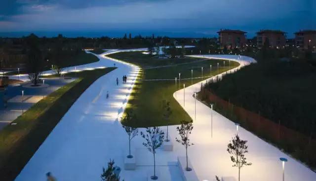 L'illuminazione degli alberi (1)